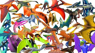 Toàn bộ khủng long bay dòng Pterosaur Khủng long bay ăn cá Khủng long  ăn thịt bạo chúa Full 7 Tập