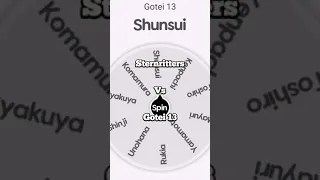 Bazz B vs Shunsui | Sternritters vs Gotei 13
