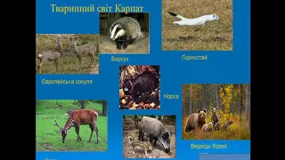 Природознавство (4 клас). Гори Карпати  Кримські гори