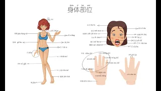 Learning Chinese动画中文：Parts of Body 身体部位