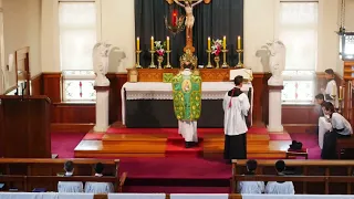 SSPXNZLIVE Livestream - 11 August  2019 High Mass