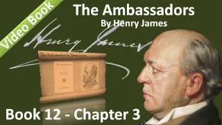 Book 12 - Chapter 3 - The Ambassadors by Henry James