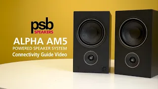 PSB Alpha AM5 Powered Speaker System: Connectivity Guide