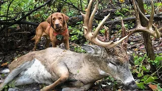 HOW TO RECOVER YOUR DEER - Professional Tracking Tips with Doug Fink