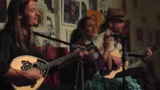 [9/12] Flamenco del Oro at the Emerald Tablet, 2013-06-21