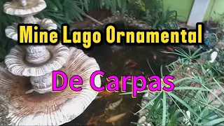 Mine Lago Ornamental de Carpas