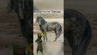 Эх да🥲