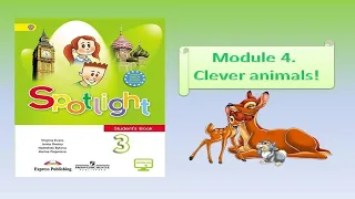 Spotlight 3. Lesson 10 ab. Clever animals. Глагол Cancan`t. Числа от 1 до 1000 и больше.