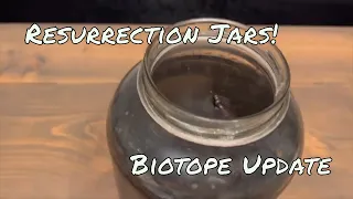 Resurrection Jars and Costa Rican Biotope Update