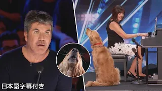 【和訳】４度目の翻訳🐶 サイモンの夢、歌うイヌがついに登場!? | AGT 2018