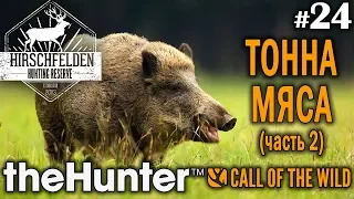 theHunter call of the wild #24 🔫 - Тонна Мяса (часть 2) - Винтовка - Кабан, Олень