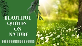 Look Deep into Nature and Explore it- Beautiful Quotes on Nature 🍃