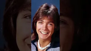 David Cassidy  "The Partridge Family." In Loving Memory
