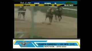 4ta. carrera | King Twitter | Hipódromo Internacional Rancho Alegre | Reunión 01 | 2023