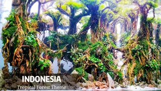 #126 Cara membuat Aquascape tema hutan keren belantaran kali kreo || subtitle english ||