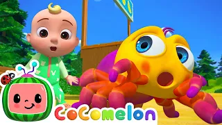 Itsy Bitsy Spider | CoComelon JJ's Animal Time | Animal Songs for Kids