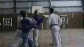 Karate Prikoli