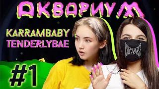 АКВАРИУМ #1 / TENDERLYBAE x KARRAMBABY