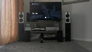 Q Acoustics Concept 40 + Pioneer A-40AE +  Qed Silver Anniversary XT