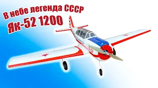 В небе легенда СССР Як-52 1200 / ALNADO