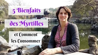 5 Bienfaits Impressionnants des Myrtilles et Comment les Consommer facilement