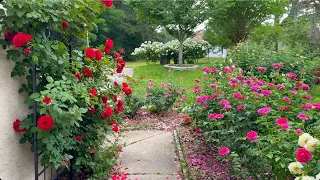 Rose Garden Tour - Spring 2024