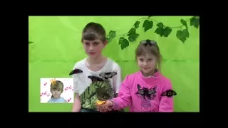 Живые тропические бабочки. Детский каналAlive tropical butterflies. Children's channel