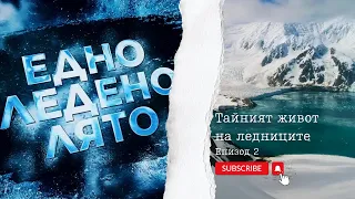 Едно ледено лято – епизод 2: "Тайният живот на ледниците"