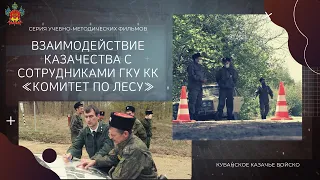 ВЗАИМОДЕЙСТВИЕ КАЗАЧЕСТВА С СОТРУДНИКАМИ ГКУ КК  «КОМИТЕТ ПО ЛЕСУ». Охрана природных ресурсов.