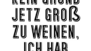 die toten Hosen - Lebt wohl & danke sehr