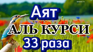 АЯТ АЛЬ-КУРСИ (33) РАЗА слушайте и читайте утром и вечером 🤲