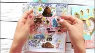 Dollar Sticker Decoration: The Secret Life of Pets!