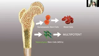 Stem Cell Therapy As a Potential Treatment for Long Covid