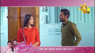 Paata Kurullo | පාට කුරුල්ලෝ | අද සිට සතියේ දිනවල රාත්‍රී 8.00 ට...