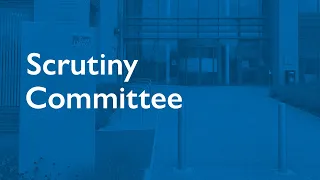 Joint Meeting of the Overview & Scrutiny Committees