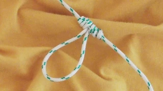 Learn How To Tie The Dropper Loop Fishing Knot - WhyKnot