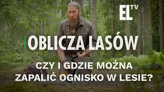 Czy i gdzie można zapalić ognisko w lesie? | OBLICZA LASÓW #151