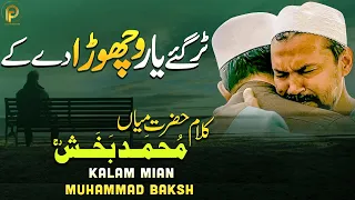 New Best Mian Muhammad Bakhsh Kalam 2023 | Tur Gaye Yaar Vichora De | Sami Kanwal | Fsee Production