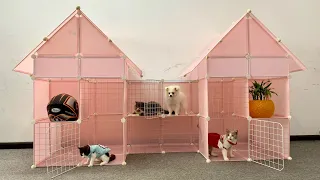 DIY CHEAP Prefab House for Pomeranian Poodle dog & Munchkin kitten - FUN COW VIDEOS  - Mr Pet Family