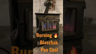 Burning Blaschak Pea Coal