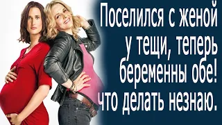 Поселился с женой у тещи,теперь беременны обе, что делать не знаю. #удивительныеистории #истории #