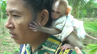 Cute Lovely and adorable baby monkey working with his mother