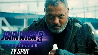 JOHN WICK: CHAPTER 3 - PARABELLUM (2019) • TV Spot | Bounty • Cinetext