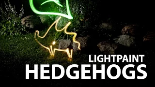 Фризлайт workshop Hedgehogs 7.07.12 | Lightpaint.ru