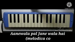Aanewala pal Jane wala hai ( melodica cover)