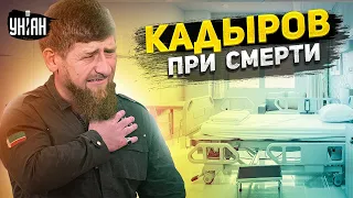 💥 Срочная новость! Кадыров при смерти. В Чечне грядут большие перемены