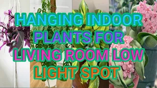 10 Best Hanging Indoor Plants for Living room Low Light spot