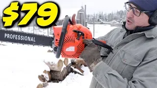 TESTING The Cheapest Chainsaw on Amazon