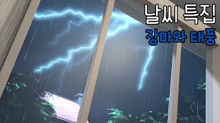 [헬로카봇 특집] 날씨 특집 - 장마와 태풍