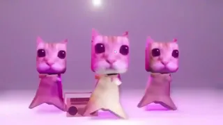 Gatitos bailando èpicamente UWU